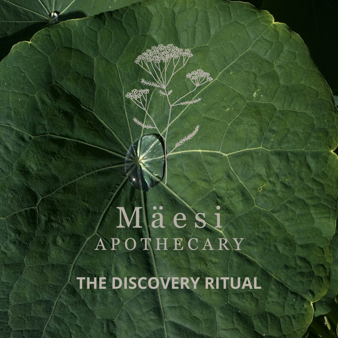 The Discovery Ritual