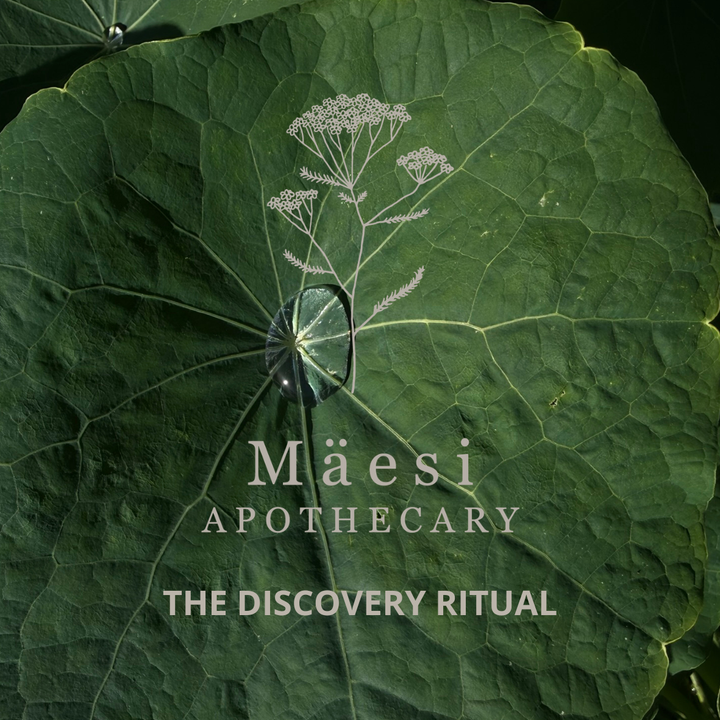 The Discovery Ritual